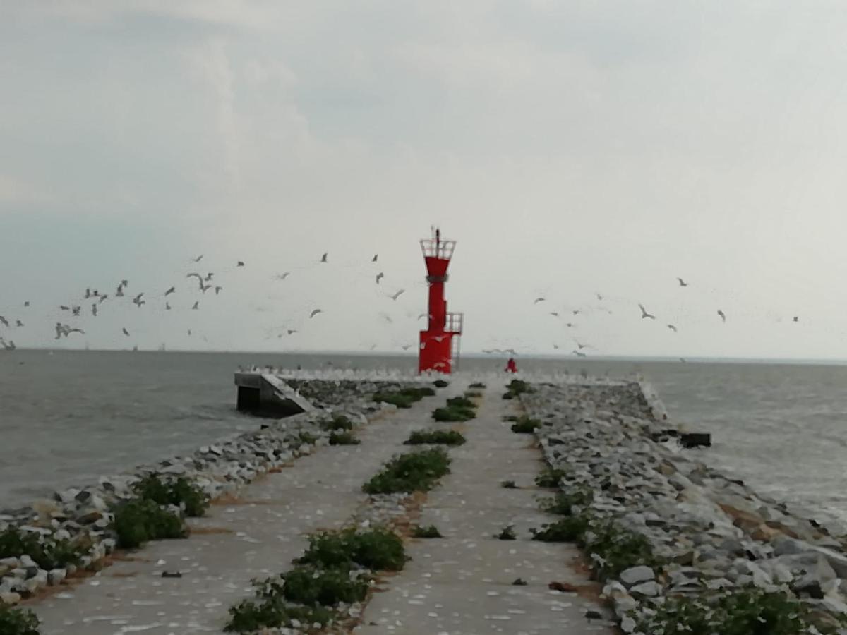 斯维诺乌伊希切Domek Letniskowy Szuwarek别墅 外观 照片
